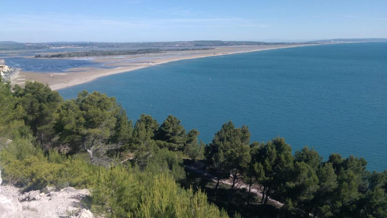 Mas De La Riviere Villa Villelongue-de-la-Salanque Exteriör bild